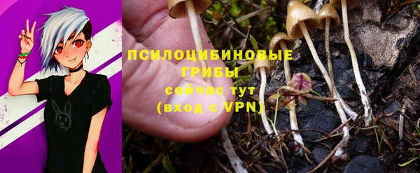 спайс Надым