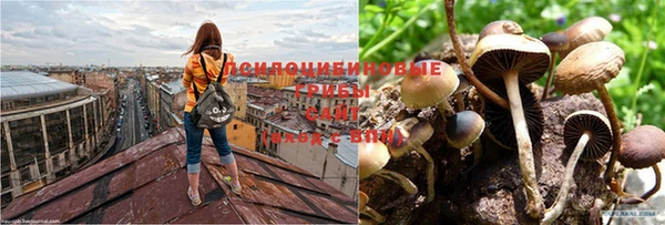 спайс Надым
