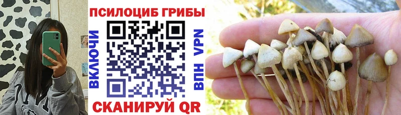 Галлюциногенные грибы MAGIC MUSHROOMS Сызрань