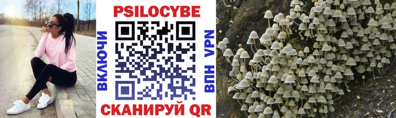 Галлюциногенные грибы Cubensis  Сызрань 