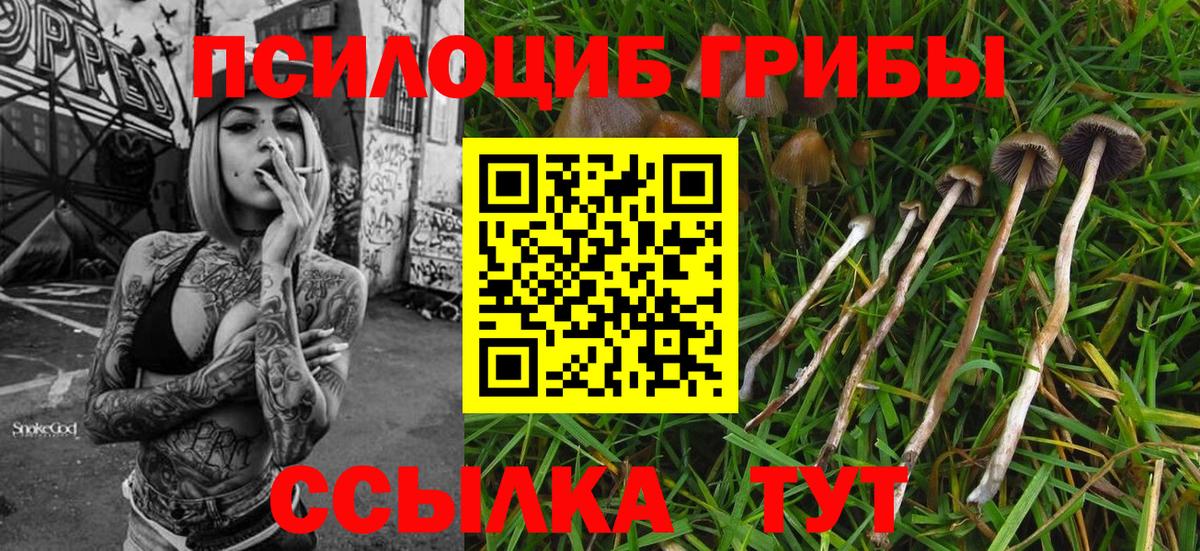 Сызрань  Галлюциногенные грибы ЛСД  купить   Галлюциногенные грибы Psilocybine cubensis  Вход с VPN 