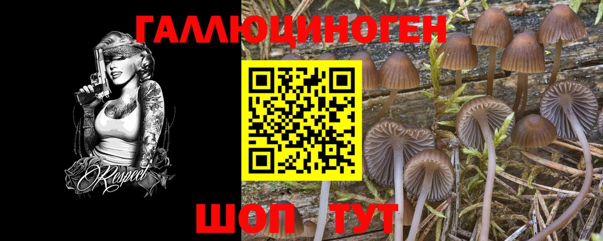 Псилоцибиновые грибы Cubensis Сызрань